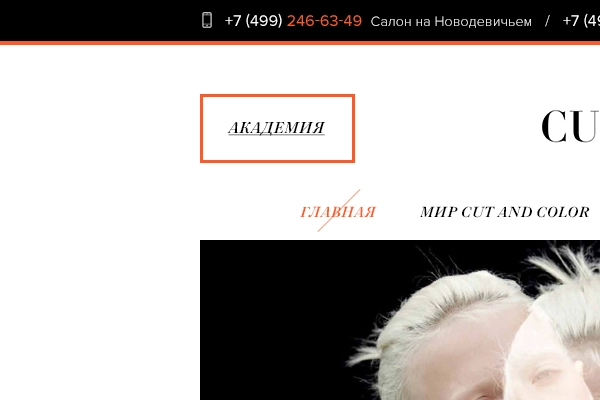 Cut and Color - пример сайта слона красоты