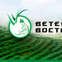 «Ветер востока» - пример сайта чая